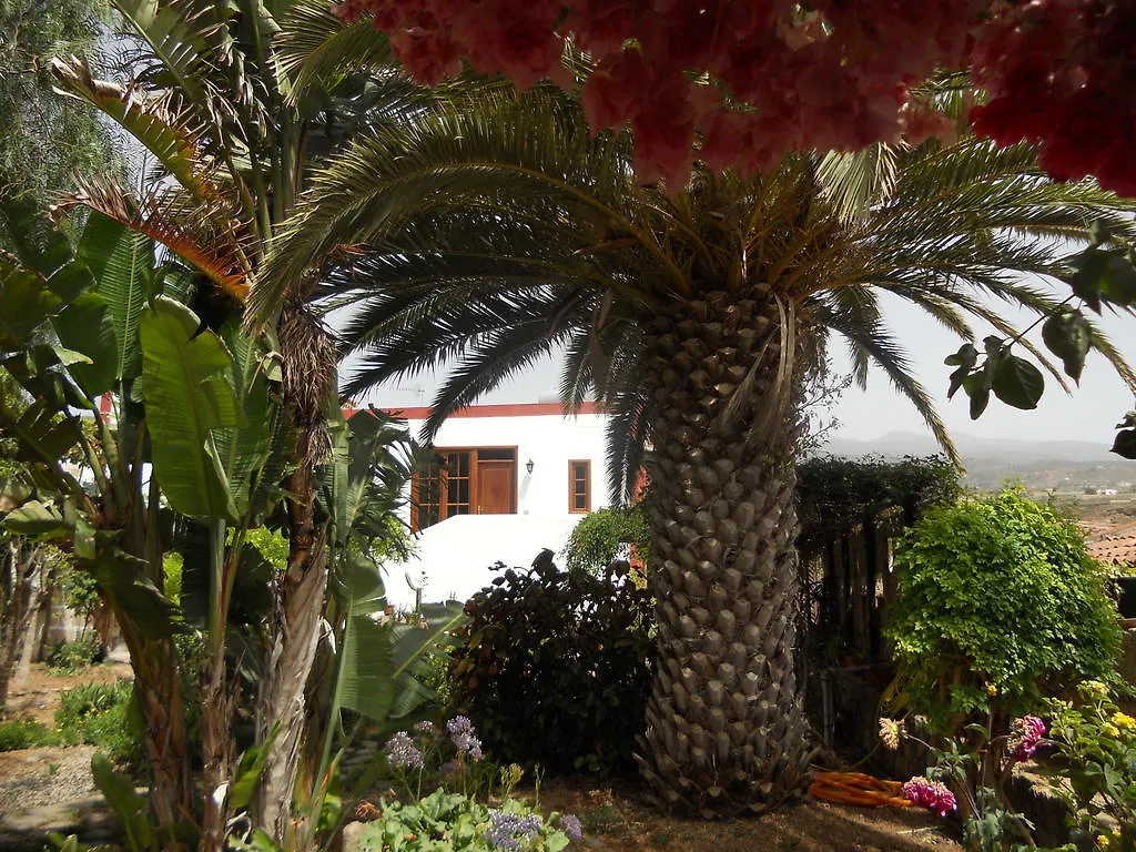 Casa Rural Anton Piche With Pool-Adults Only Granadilla De Abona Séjour à la campagne